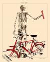 Cartoon: bike (small) by zu tagged bike skull