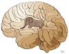 Cartoon: The Little Prince (small) by zu tagged elephant,brain,snake