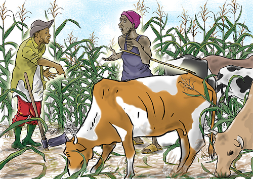 Cartoon: The farmers and herdsmen conflic (medium) by Popa tagged farmers,herdmen,agriculture,livestock,africa,conflicts