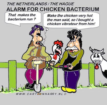 Cartoon: Alarm (medium) by cartoonharry tagged farmer,holland,chicken,vibror,cartoonharry