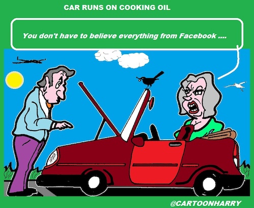 Cartoon: Cooking Oil (medium) by cartoonharry tagged coongoil,facebook,man,wife,car