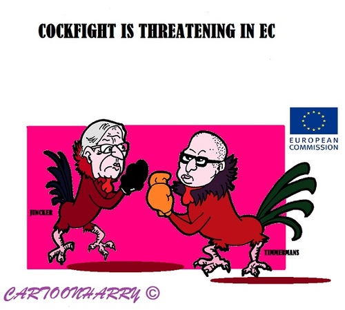 Cartoon: EC Cock Fights (medium) by cartoonharry tagged europe,ec,cockfights,juncker,timmermans