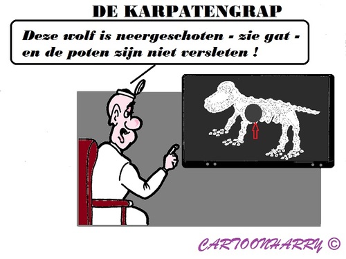 Cartoon: Er was eens (medium) by cartoonharry tagged holland,karpaten,wolf