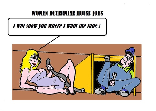 Cartoon: House Jobs (medium) by cartoonharry tagged house,jobs
