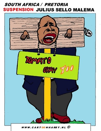 Cartoon: Julius Sello Malema (medium) by cartoonharry tagged youth,anc,future,julius,malema,caricature,cartoon,cartoonist,cartoonharry,southafrica,africa,dutch,toonpool