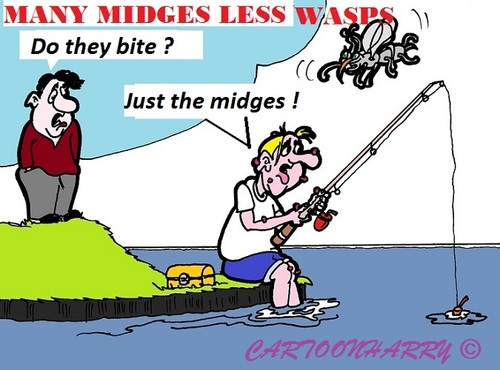 Cartoon: Many Midges (medium) by cartoonharry tagged midge,wasp,fishing,water,bite,cartoon,cartoonist,cartoonharry,dutch,toonpool