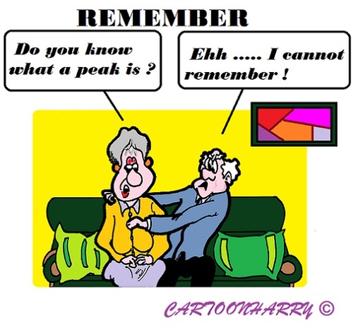 Cartoon: Remember (medium) by cartoonharry tagged remember,peak,grandpa,grandma