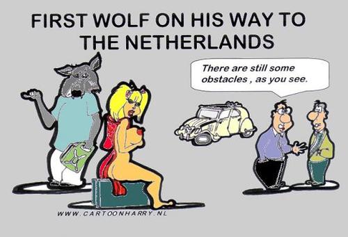 Cartoon: The First Dutch Wolf (medium) by cartoonharry tagged girls,wolf,dutch,ridinghood