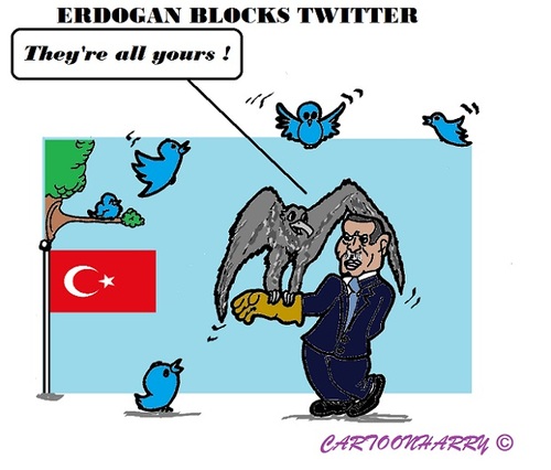 Cartoon: Twitter Block Turkey (medium) by cartoonharry tagged block,twitter,erdogan,turkey
