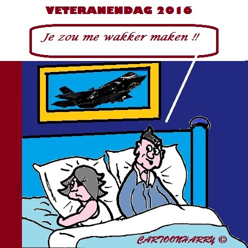 Cartoon: Veteranendag2016 (medium) by cartoonharry tagged nederland,holland,denhaag,veteranen,veteranendag2016