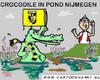 Cartoon: Crocodile In Pond (small) by cartoonharry tagged arnhem,nijmegen,vitesse,nec,crocodile,pond,cartoonharry