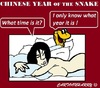 Cartoon: Snake of the Year (small) by cartoonharry tagged snake,year,china,chinese,time,bed,sleepy,cartoons,cartoonists,cartoonharry,dutch,toonpool