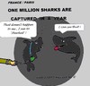 Cartoon: Very Sharked -SHARP (small) by cartoonharry tagged shark,sharpe,killing,killed,cartoonharry
