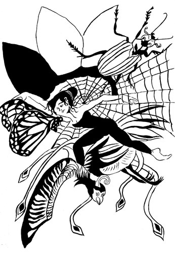 Cartoon: metamorphose (medium) by Dekeyser tagged illustation,phenix,web,spider,beetle,butterfly