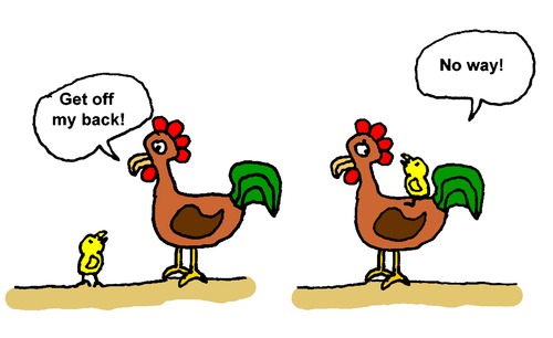 Cartoon: Crazy Chickens (medium) by Pascal Kirchmair tagged figlio,padre,fils,et,pere,son,and,father,sohn,und,vater,chickens,crazy