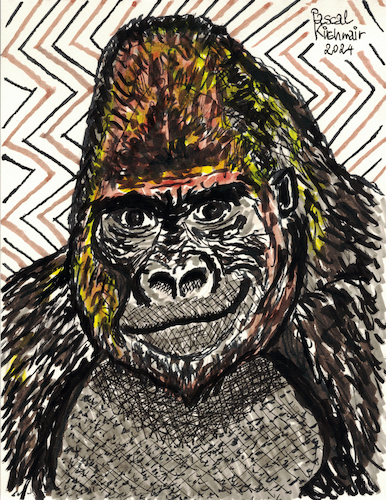 Gorilla