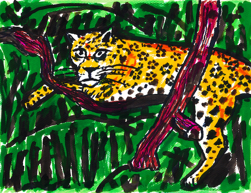 Cartoon: Jaguar (medium) by Pascal Kirchmair tagged jaguar,panthera,onca,predator,raubkatze,predateur,felin,felino,fauve,predador,predatore,big,cat,cats,katzen,gatos,gatti,chats,illustration,ink,drawing,zeichnung,pascal,kirchmair,cartoon,caricature,karikatur,ilustracion,dibujo,desenho,ilustracao,illustrazione,illustratie,dessin,de,presse,tekening,teckning,cartum,vineta,comica,vignetta,caricatura,tusche,tuschezeichnung,portrait,retrato,porträt,ritratto,art,arte,kunst,artwork,encre,chine,tinta,china,inchiostro,nanquim,pardo,jaguar,panthera,onca,predator,raubkatze,predateur,felin,felino,fauve,predador,predatore,big,cat,cats,katzen,gatos,gatti,chats,illustration,ink,drawing,zeichnung,pascal,kirchmair,cartoon,caricature,karikatur,ilustracion,dibujo,desenho,ilustracao,illustrazione,illustratie,dessin,de,presse,tekening,teckning,cartum,vineta,comica,vignetta,caricatura,tusche,tuschezeichnung,portrait,retrato,porträt,ritratto,art,arte,kunst,artwork,encre,chine,tinta,china,inchiostro,nanquim,pardo