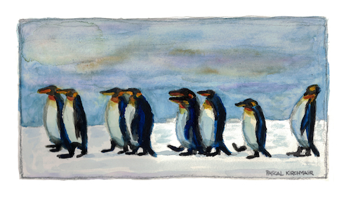 Cartoon: King Penguins (medium) by Pascal Kirchmair tagged königspinguine,manchots,royaux,pinguine,king,penguins,watercolour,aquarell,pascal,kirchmair,pinguinos,reales,illustration,drawing,zeichnung,cartoon,caricature,karikatur,ilustracion,dibujo,desenho,ink,disegno,ilustracao,illustrazione,illustratie,dessin,de,presse,du,jour,art,of,the,day,tekening,teckning,aquarelle,watercolor,acquarello,acuarela,aguarela,aquarela,painting,malerei,peinture,dipinto,pintura,pittura,cuadro,quadro,königspinguine,manchots,royaux,pinguine,king,penguins,watercolour,aquarell,pascal,kirchmair,pinguinos,reales,illustration,drawing,zeichnung,cartoon,caricature,karikatur,ilustracion,dibujo,desenho,ink,disegno,ilustracao,illustrazione,illustratie,dessin,de,presse,du,jour,art,of,the,day,tekening,teckning,aquarelle,watercolor,acquarello,acuarela,aguarela,aquarela,painting,malerei,peinture,dipinto,pintura,pittura,cuadro,quadro