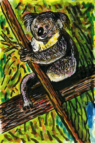 Cartoon: Koala (medium) by Pascal Kirchmair tagged koala,phascolarctos,cinereus,beutelbär,koalabär,lipurus,bear,bär,ink,drawing,tuschezeichnung,dibujo,desenho,pascal,kirchmair,illustration,ilustracion,ilustracao,arte,kunst,dessin,painting,pintura,peinture,usa,zeichnung,cartoon,caricature,karikatur,illustrazione,illustratie,de,presse,tekening,teckning,cartum,vineta,comica,vignetta,caricatura,tusche,portrait,retrato,porträt,ritratto,art,artwork,encre,chine,tinta,china,inchiostro,nanquim,dipinto,malerei,pittura,gouache,watercolor,watercolour,aquarell,acuarela,australie,australia,australien,koala,phascolarctos,cinereus,beutelbär,koalabär,lipurus,bear,bär,ink,drawing,tuschezeichnung,dibujo,desenho,pascal,kirchmair,illustration,ilustracion,ilustracao,arte,kunst,dessin,painting,pintura,peinture,usa,zeichnung,cartoon,caricature,karikatur,illustrazione,illustratie,de,presse,tekening,teckning,cartum,vineta,comica,vignetta,caricatura,tusche,portrait,retrato,porträt,ritratto,art,artwork,encre,chine,tinta,china,inchiostro,nanquim,dipinto,malerei,pittura,gouache,watercolor,watercolour,aquarell,acuarela,australie,australia,australien