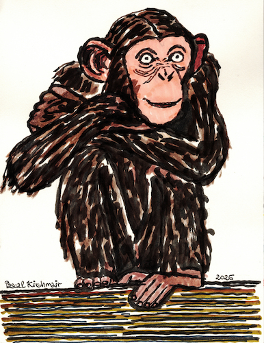 Cartoon: Schimpanse (medium) by Pascal Kirchmair tagged chimpanzee,schimpanse,chimpanze,chimpance,scimpanze,affe,monkey,ape,primat,scultura,singe,machango,mono,scimmia,macao,sculpture,skulptur,illustration,ink,drawing,zeichnung,pascal,kirchmair,cartoon,caricature,karikatur,ilustracion,dibujo,desenho,ilustracao,illustrazione,illustratie,dessin,de,presse,tekening,teckning,cartum,vineta,comica,vignetta,caricatura,tusche,tuschezeichnung,portrait,retrato,porträt,ritratto,art,arte,kunst,artwork,encre,chine,tinta,china,inchiostro,nanquim,painting,pintura,peinture,dipinto,malerei,pittura,escultura,chimpanzee,schimpanse,chimpanze,chimpance,scimpanze,affe,monkey,ape,primat,scultura,singe,machango,mono,scimmia,macao,sculpture,skulptur,illustration,ink,drawing,zeichnung,pascal,kirchmair,cartoon,caricature,karikatur,ilustracion,dibujo,desenho,ilustracao,illustrazione,illustratie,dessin,de,presse,tekening,teckning,cartum,vineta,comica,vignetta,caricatura,tusche,tuschezeichnung,portrait,retrato,porträt,ritratto,art,arte,kunst,artwork,encre,chine,tinta,china,inchiostro,nanquim,painting,pintura,peinture,dipinto,malerei,pittura,escultura