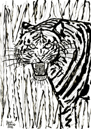 Cartoon: Tiger (medium) by Pascal Kirchmair tagged predator,raubkatze,predateur,felin,felino,fauve,predador,predatore,tiger,tigre,big,cat,cats,katzen,gatos,gatti,chats,illustration,ink,drawing,zeichnung,pascal,kirchmair,cartoon,caricature,karikatur,ilustracion,dibujo,desenho,ilustracao,illustrazione,illustratie,dessin,de,presse,tekening,teckning,cartum,vineta,comica,vignetta,caricatura,tusche,tuschezeichnung,portrait,retrato,porträt,ritratto,art,arte,kunst,artwork,expressiv,expressive,expressionism,expressionismus,predator,raubkatze,predateur,felin,felino,fauve,predador,predatore,tiger,tigre,big,cat,cats,katzen,gatos,gatti,chats,illustration,ink,drawing,zeichnung,pascal,kirchmair,cartoon,caricature,karikatur,ilustracion,dibujo,desenho,ilustracao,illustrazione,illustratie,dessin,de,presse,tekening,teckning,cartum,vineta,comica,vignetta,caricatura,tusche,tuschezeichnung,portrait,retrato,porträt,ritratto,art,arte,kunst,artwork,expressiv,expressive,expressionism,expressionismus