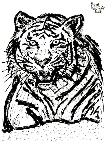 Cartoon: Tiger (medium) by Pascal Kirchmair tagged predator,raubkatze,predateur,felin,felino,fauve,predador,predatore,tiger,tigre,big,cat,cats,katzen,gatos,gatti,chats,illustration,ink,drawing,zeichnung,pascal,kirchmair,cartoon,caricature,karikatur,ilustracion,dibujo,desenho,ilustracao,illustrazione,illustratie,dessin,de,presse,tekening,teckning,cartum,vineta,comica,vignetta,caricatura,tusche,tuschezeichnung,portrait,retrato,porträt,ritratto,art,arte,kunst,artwork,predator,raubkatze,predateur,felin,felino,fauve,predador,predatore,tiger,tigre,big,cat,cats,katzen,gatos,gatti,chats,illustration,ink,drawing,zeichnung,pascal,kirchmair,cartoon,caricature,karikatur,ilustracion,dibujo,desenho,ilustracao,illustrazione,illustratie,dessin,de,presse,tekening,teckning,cartum,vineta,comica,vignetta,caricatura,tusche,tuschezeichnung,portrait,retrato,porträt,ritratto,art,arte,kunst,artwork