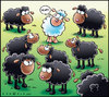 Cartoon: Black sheep (small) by Carayboo tagged black,sheep,lamb,mouton,noir,white,animal