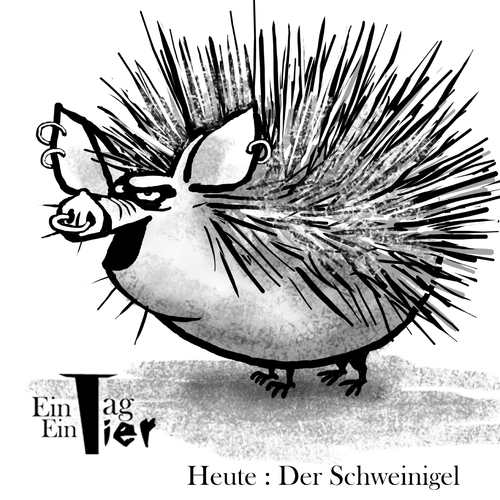 Cartoon: Der Schweinigel (medium) by Mistviech tagged tiere,natur,schwein,igel,schweinigel,versaut,sau