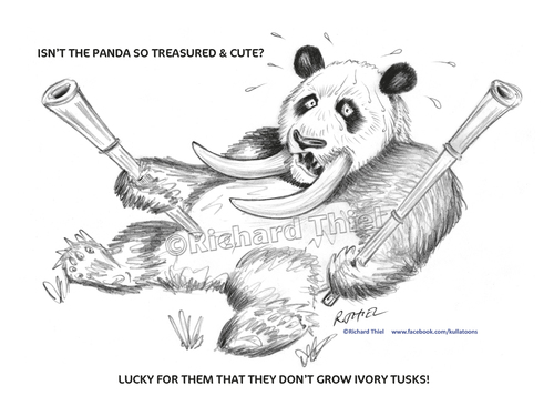 Cartoon: One for the Elephants (medium) by kullatoons tagged panda,elephant,ivory,tusks,endangered