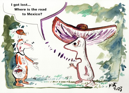 Cartoon: Adventures of mushroom pickers (medium) by Kestutis tagged adventures,mushroom,wald,forest,summer,mexico,kestutis,lithuania,sommer