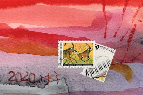 Cartoon: Different music (medium) by Kestutis tagged music,kestutis,lithuania,postcard,eu,world