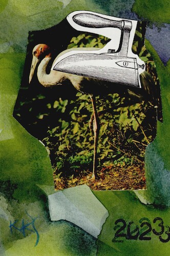 Cartoon: Forms of nature (medium) by Kestutis tagged forms,nature,dada,postcard,art,kunst,kestutis,lithuania