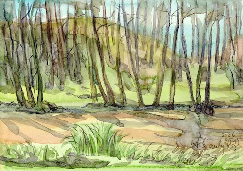 Cartoon: Spring by the forest stream (medium) by Kestutis tagged spring,forest,stream,impressionism,kestutis,lithuania,art,kunst,watercolor