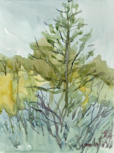 Cartoon: By the forest lake (medium) by Kestutis tagged sketch,summer,forest,lake,art,kunst,kestutis,lithuania