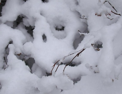 Cartoon: Masks. Winter mimic (medium) by Kestutis tagged masks,winter,mimic,kestutis,lithuania,dada,photo