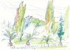 Cartoon: Berlin. Potsdam (small) by Kestutis tagged berlin,potsdam,germany,deutschland,nature,garten,botanischer,lithuania,kestutis,sketch