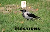 Cartoon: Elections (small) by Kestutis tagged elections,observagraphics,kestutis,lithuania