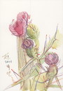 Cartoon: Fields flowers (small) by Kestutis tagged fields,flowers,sketch,watercolor,blumen,nature,summer,kestutis,siaulytis,lithuania