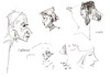Cartoon: Quick Sketch 5 (small) by Kestutis tagged sketch,kestutis,lithuania