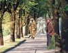 Cartoon: The Three Graces and Kestutis (small) by Kestutis tagged graces,canova,kestutis,siaulytis,lithuania,collage