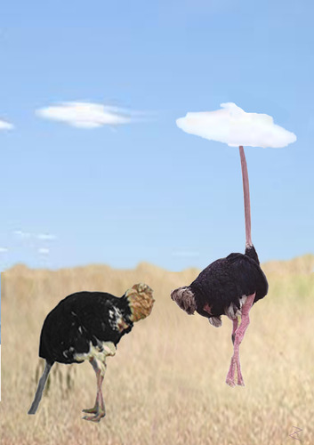 Cartoon: balance (medium) by Zoran tagged balance,ostrich,sand,cloud,cover