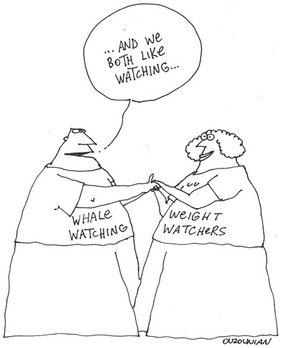 Cartoon: love and stuff (medium) by ouzounian tagged diets,weightwatching,fat