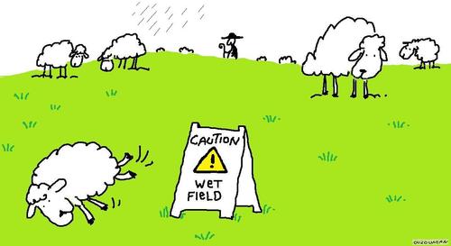 Cartoon: sheep and stuff (medium) by ouzounian tagged weather,rain,nature,sheppards,farmers,fields,sheep