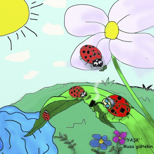 Cartoon: ladybug (medium) by musa gültekin tagged ladybug,ugurböcegi,cicek,flover,run