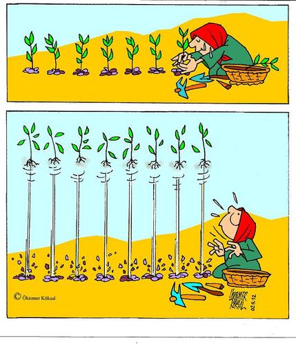 Cartoon: Pflanzen (medium) by okoksal tagged köksal
