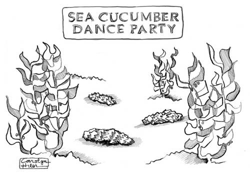 Cartoon: Dance Party (medium) by a zillion dollars comics tagged sea,ocean,dance,cucumber,animals