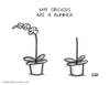 Cartoon: April Showers May Flowers (small) by a zillion dollars comics tagged philosophy,life,death,nature,seasons