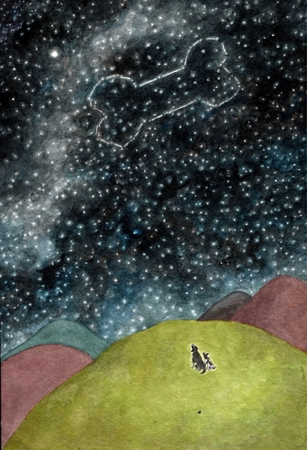 Cartoon: Sternbild -constellation- (medium) by motoko tagged hund,dog,stern,star,himmel,sky,night,knochen,boon,romantik