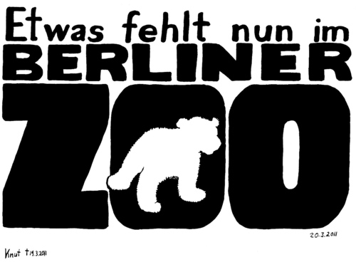 Cartoon: Knut fehlt (medium) by Alan tagged tod,bär,berlin,zoo,fehlt,knut,polar,bear,eisbär
