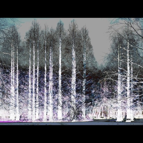 Cartoon: MH - The Ice Queens Forest (medium) by MoArt Rotterdam tagged entrance,ingang,icequeen,ijskoningin,wood,forest,woud,bos,bomen,trees,rotterdam,cold,koud,nolove,geenliefde